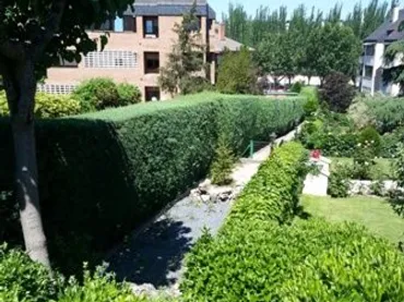 Estudio en Pozuelo de Alarcón - Foto 6