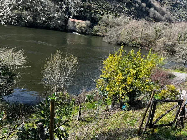 Finca rústica en Belesar s/n - Foto 10