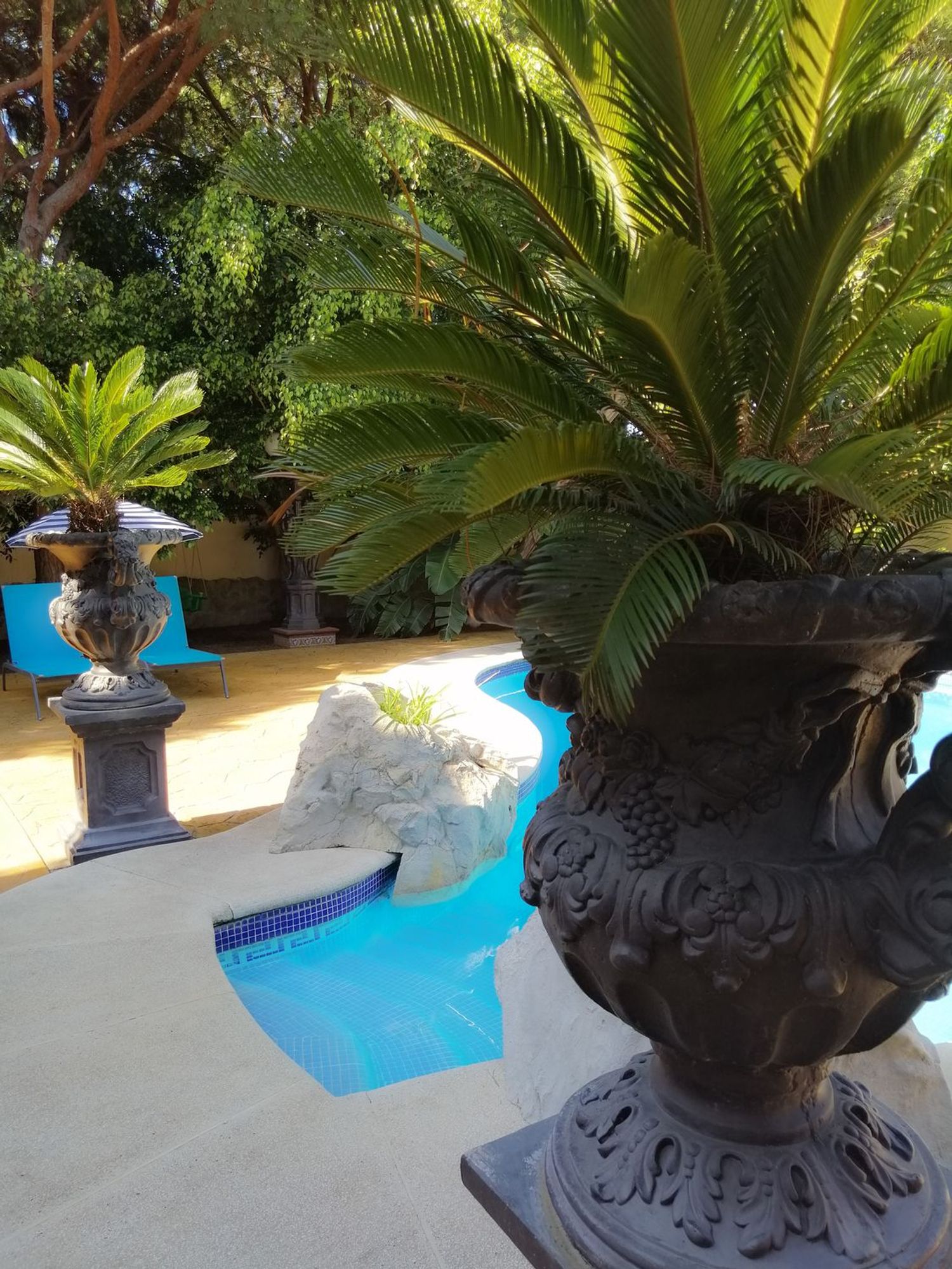 Casa independiente en avenida de la Barrosa, 15 - Foto 8