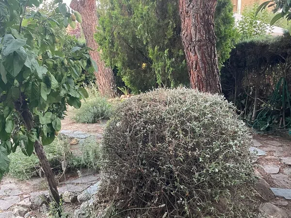 Chalet pareado en Calle de Enrique López García, 24, Arroyo de la Vega, Arroyo de la Vega - Foto 4