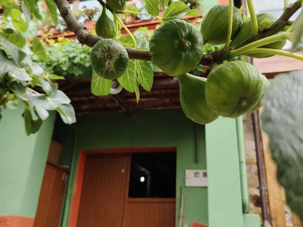 Casa de pueblo en Barrio el Frai, 9 - Foto 26
