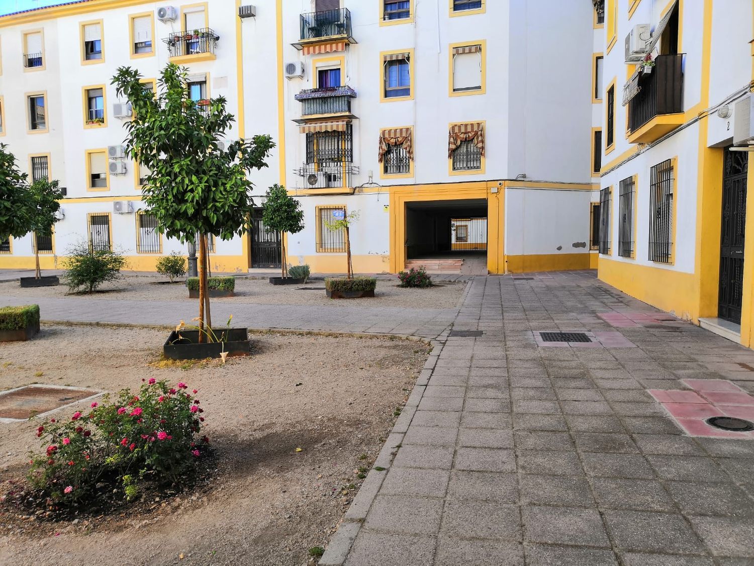 Piso en Plaza Félix Rodríguez de la Fuente, 6 - Foto 10