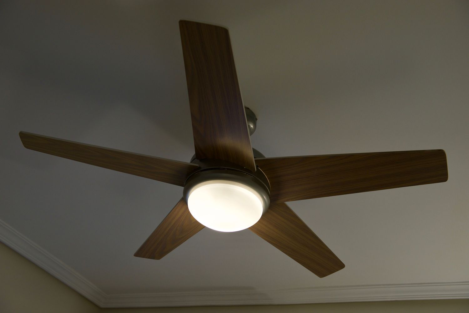 Estudio en calle del Doctor Esquerdo, 160 - Foto 7