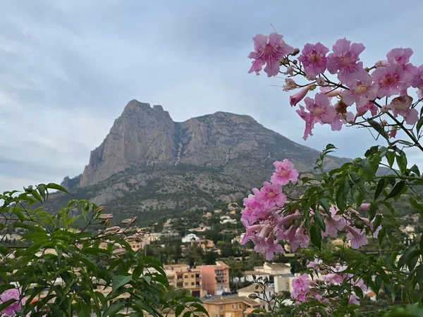 Chalet pareado en calle Oslo, 11 - Foto 34