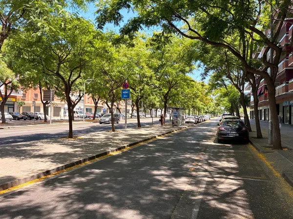 Local en Panadería en Campreciós - Torre Roja, Campreciós - Torre Roja - Foto 32
