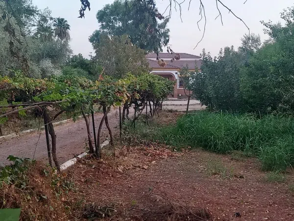 Casa o chalet independiente en Barrio Ochavillo, 276, El Higuerón - Foto 4