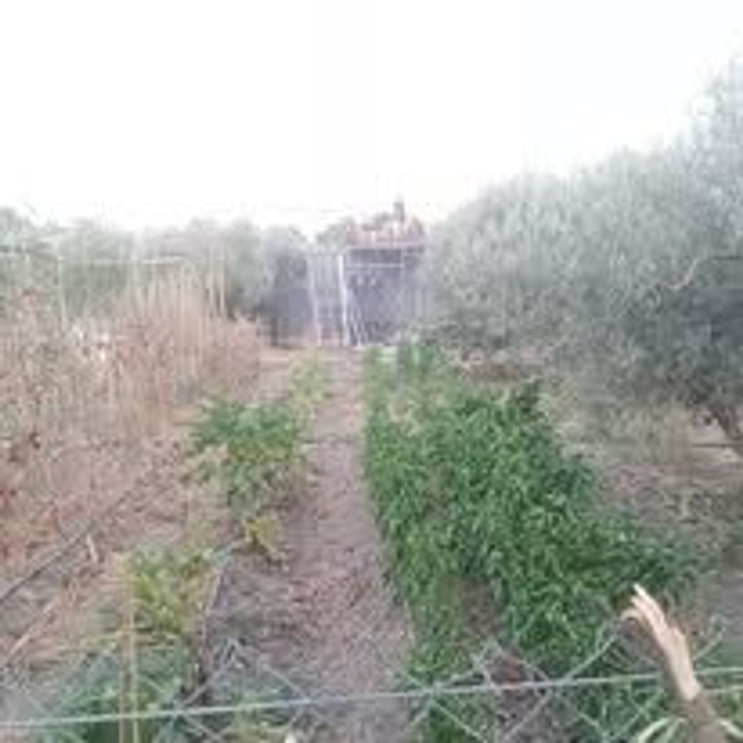 Finca rústica en Poligono, 8, Estación, Estación - Foto 17