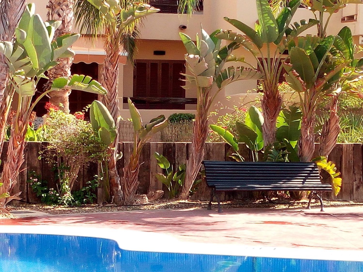 Piso en Arrayan, 4, Puerto Vera, Puerto Vera - Foto 7