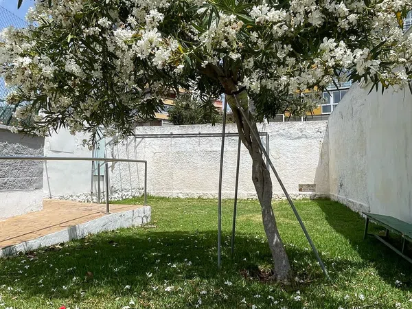 Piso en Avenida de los Álamos, 17 - Foto 36