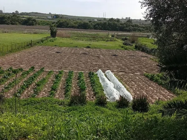 Finca rústica en camino Cañada del Fontanar s/n - Foto 1