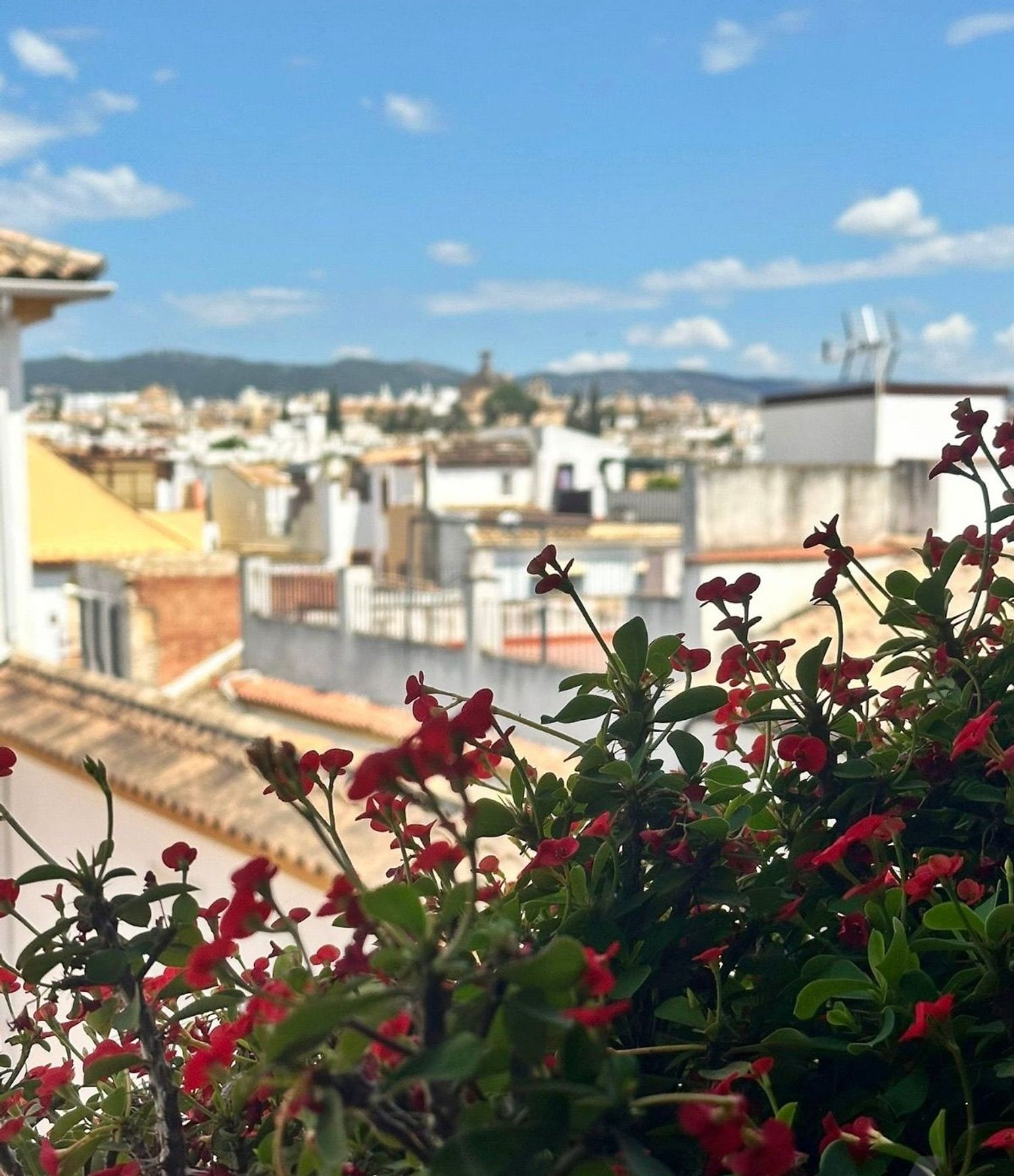 Piso en calle Acera del Arrecife, 3 - Foto 6