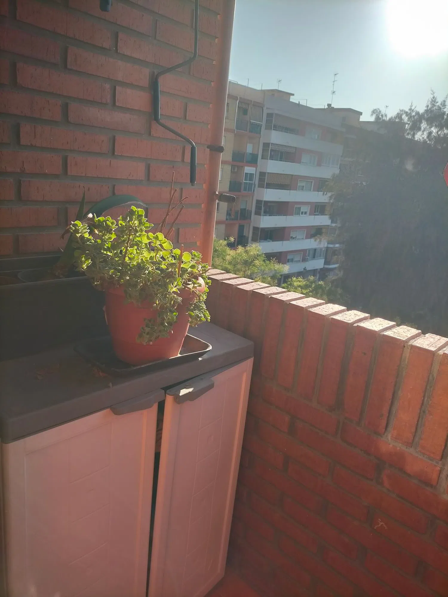 Piso en calle de Manolo Taberner, 23 - Foto 9