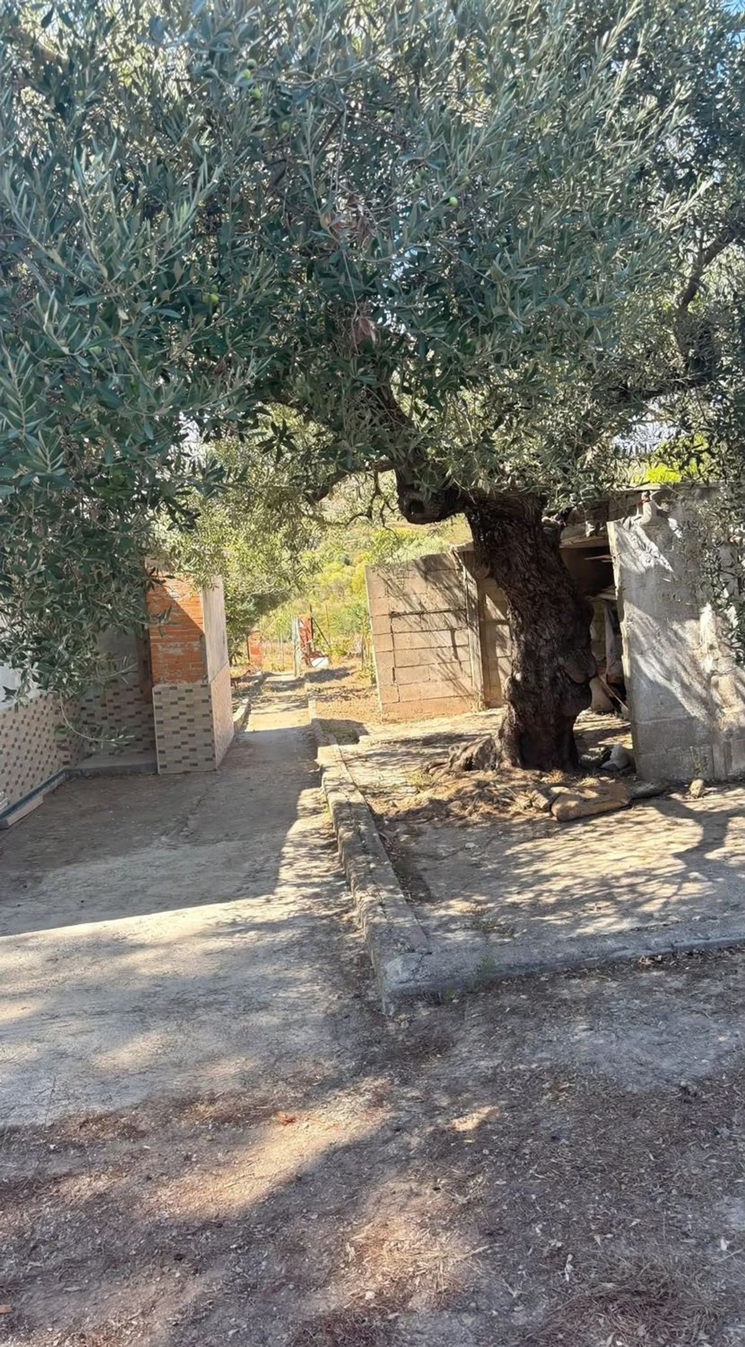 Finca rústica en Bovalar, 442, Zona Papa Luna, Zona Papa Luna - Foto 14