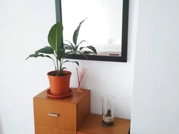 Dúplex en Martínez-Maldonado, 42 - Foto 8