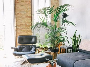 Dúplex en  CALLE DE FRANCESC EIXIMENIS, 79 - Foto 2