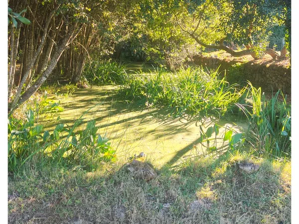 Casa de pueblo en Entenza, 8 - Foto 23
