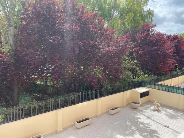 Dúplex en Paseo Santo Tomás, 21, Santo Tomás, Santo Tomás - Foto 19