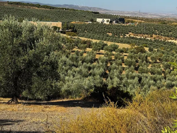 Finca rústica en Arroyo de la Calera 18152 s/n - Foto 12