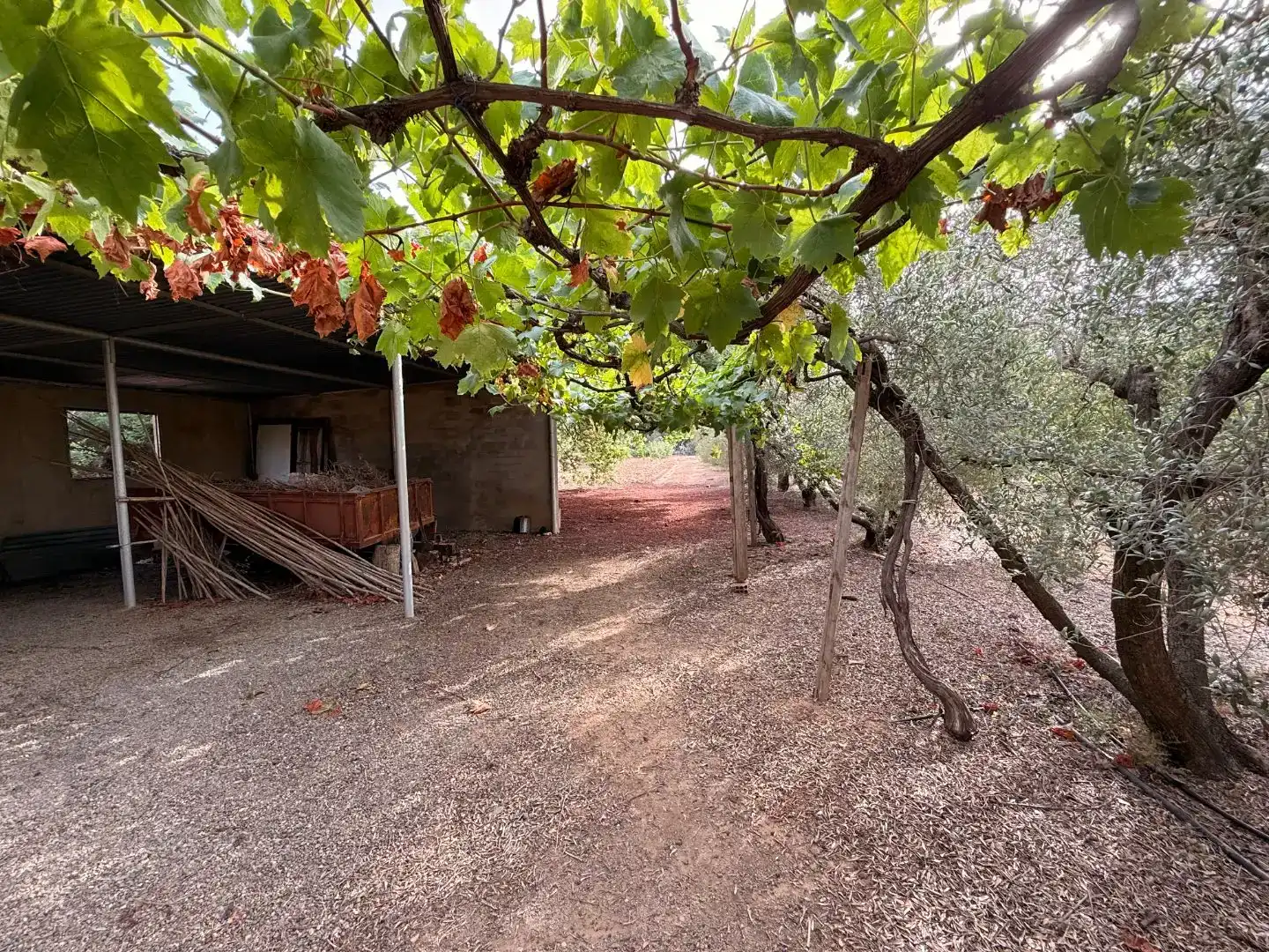 Finca rústica en  Camí de Sant Joan 1 - Foto 8
