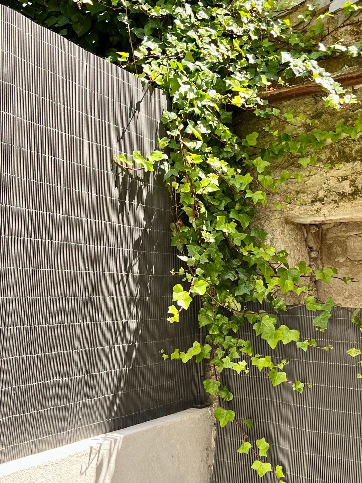 Piso en calle de Zapatería, 9 - Foto 6