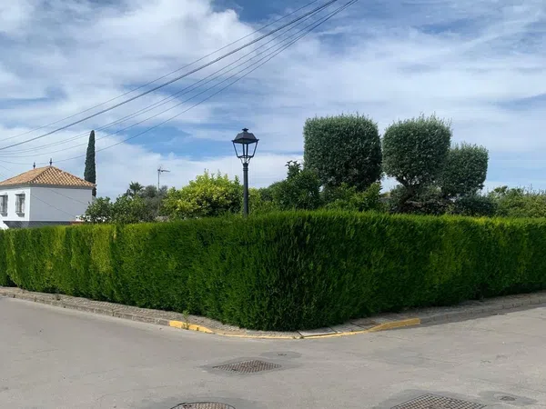 Chalet pareado en Calle Sauce, 3 - Foto 28
