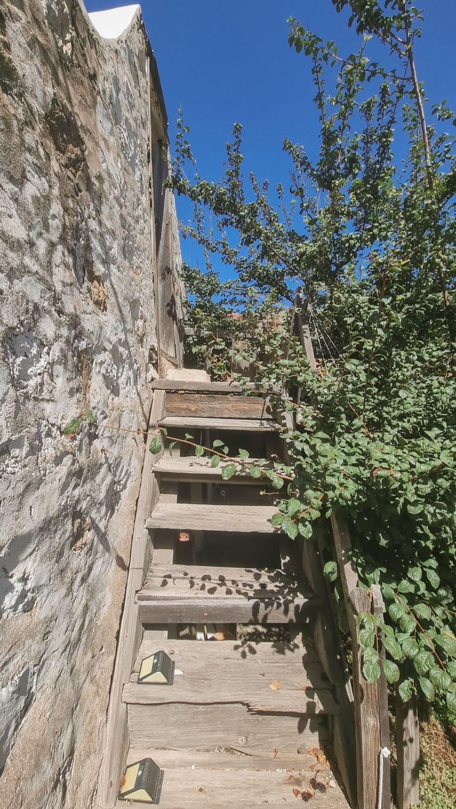 Casa terrera en Calle San Felipe In Chirche, 31, Guia de Isora, Guia de Isora - Foto 25