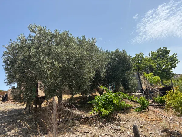 Cortijo en Cortijo en A-1178 s/n - Foto 14