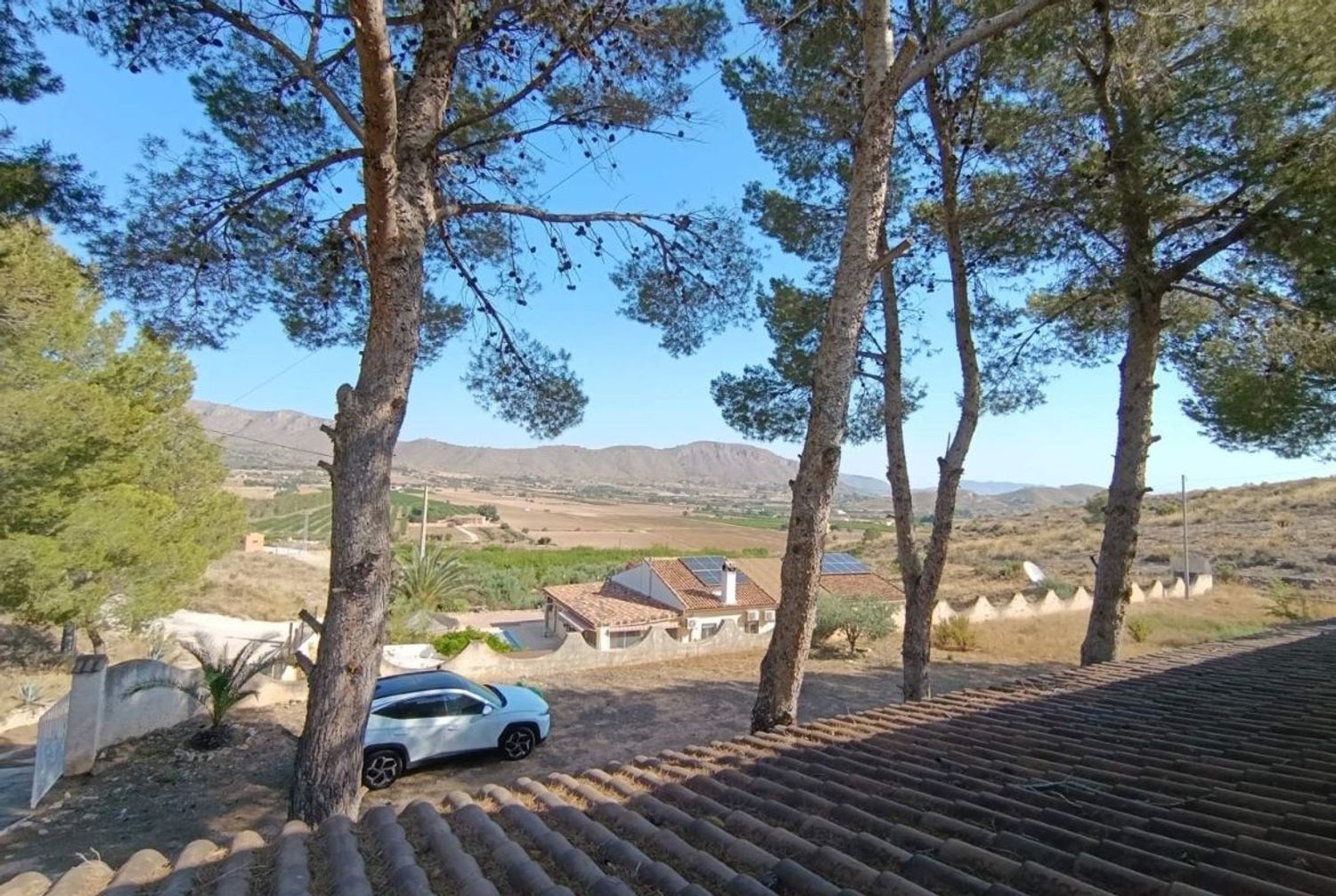 Casa o chalet independiente en Carretera a Hondón de los Frailes s/n - Foto 22