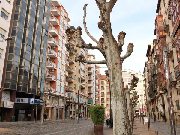 Piso en Calle Bretón de los Herreros, 31, Gran Vía - Foto 2