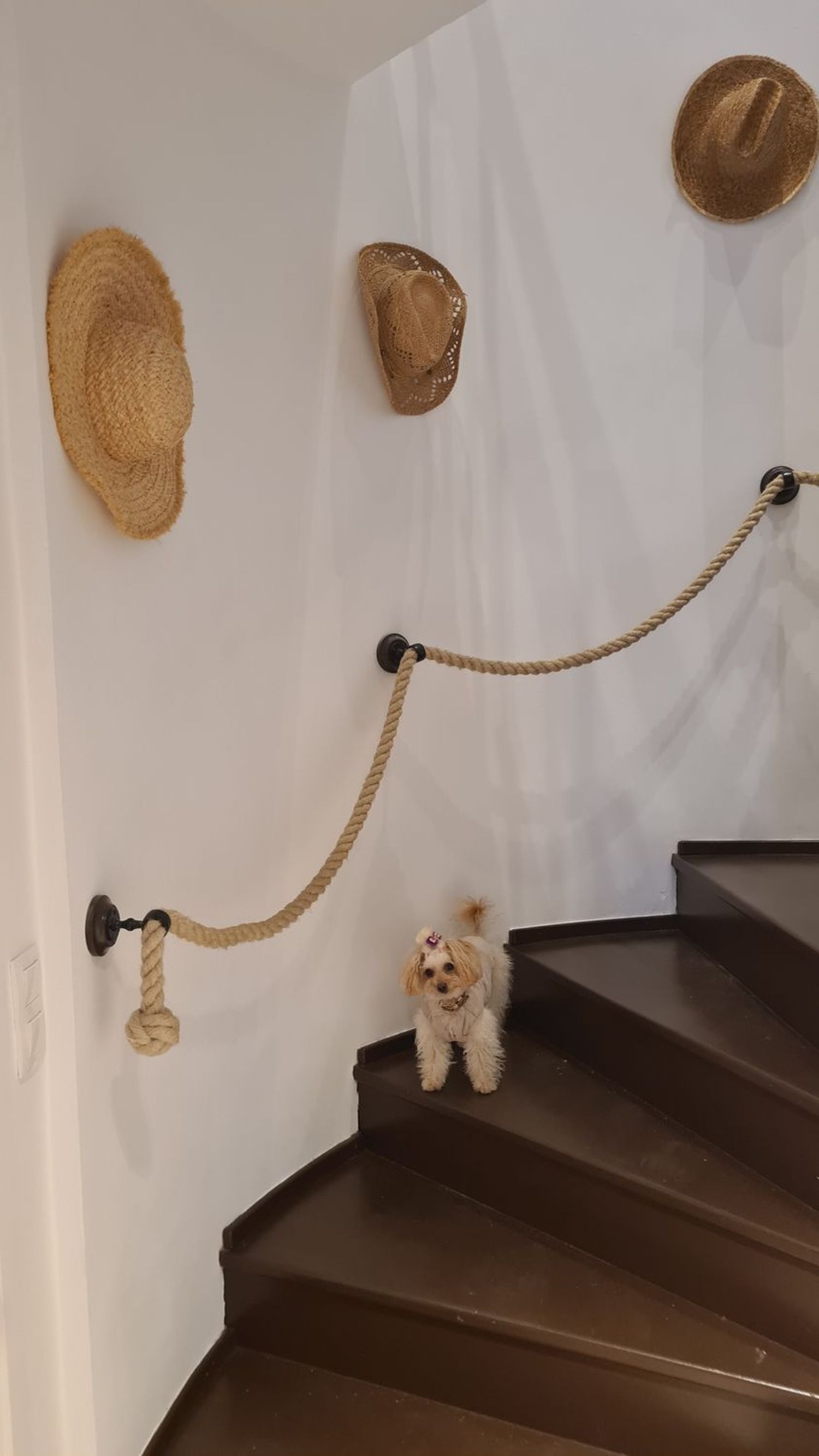 Chalet adosado en Urbanización Los Pinos de Aloha, 2 - Foto 18