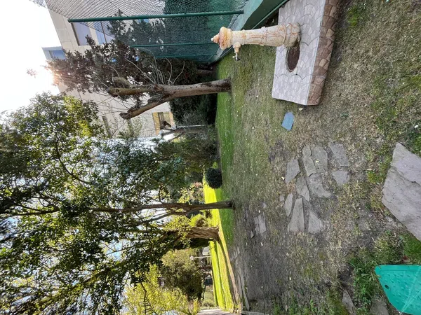 Chalet adosado en calle de la Peña Pintada, 47 a - Foto 37