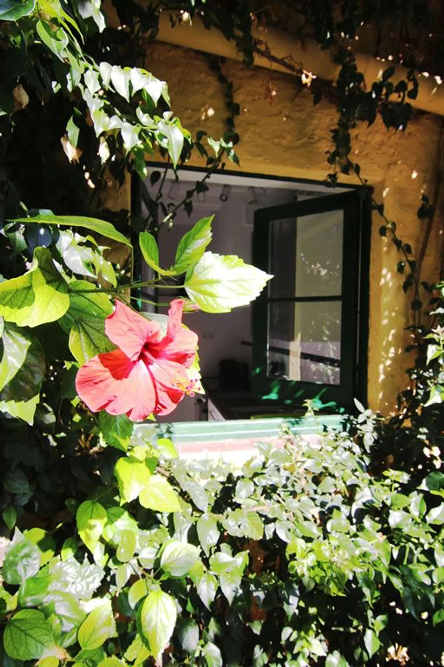 Casa terrera - Foto 2