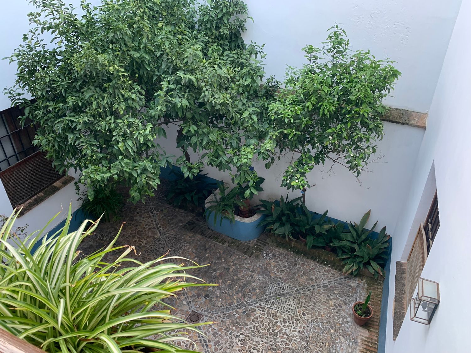 Piso en calle Averroes, 10 - Foto 4