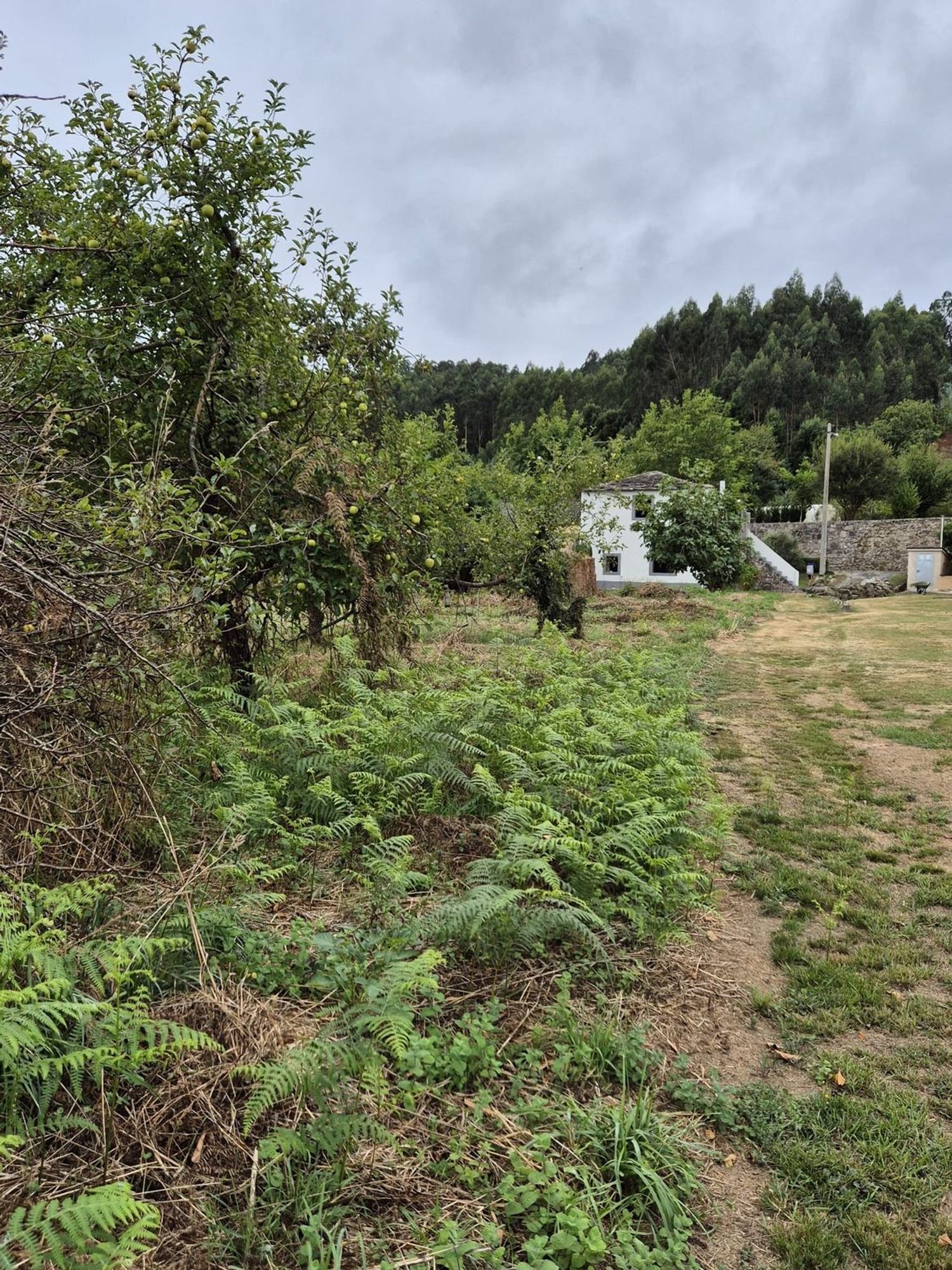 Casa rural en Lugar Pombal, 6 - Foto 20