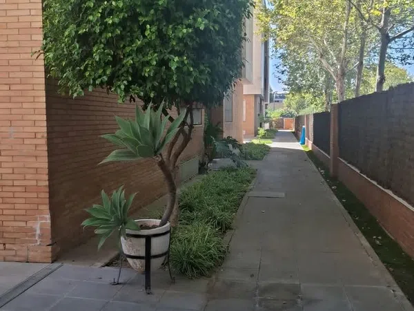 Piso en Avenida de Italia, 21, Los Bermejales - Foto 14
