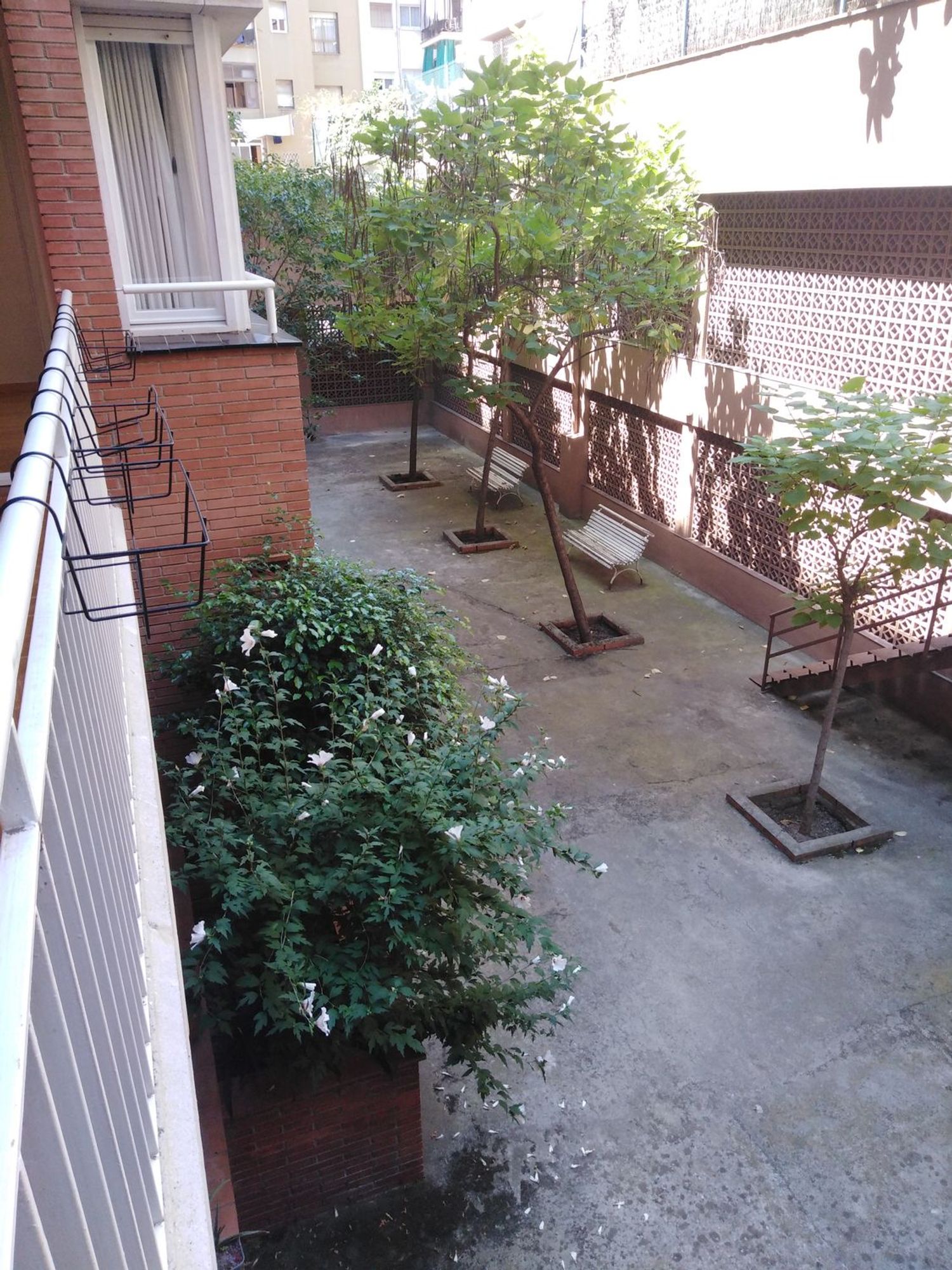 Piso en calle de Llorens i Barba, 3 - Foto 21