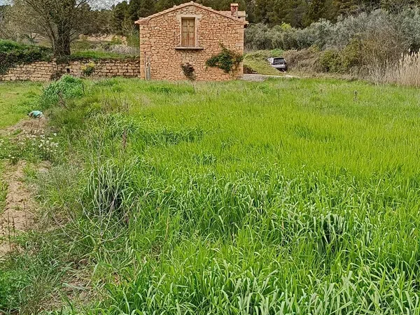 Finca rústica en Te-v-3001 s/n - Foto 5