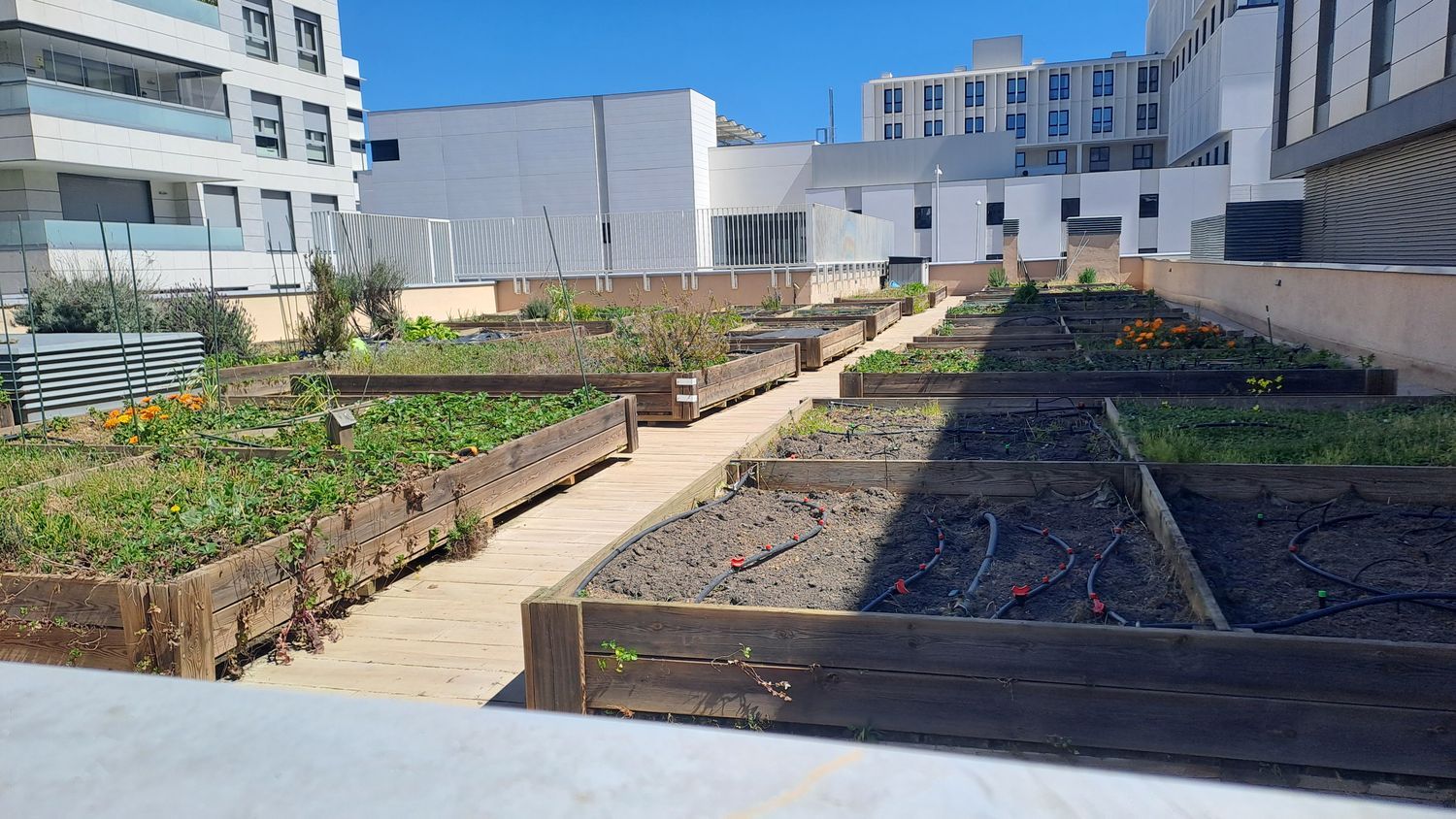 Piso en calle de Gustavo Pérez Puig, 81 - Foto 39