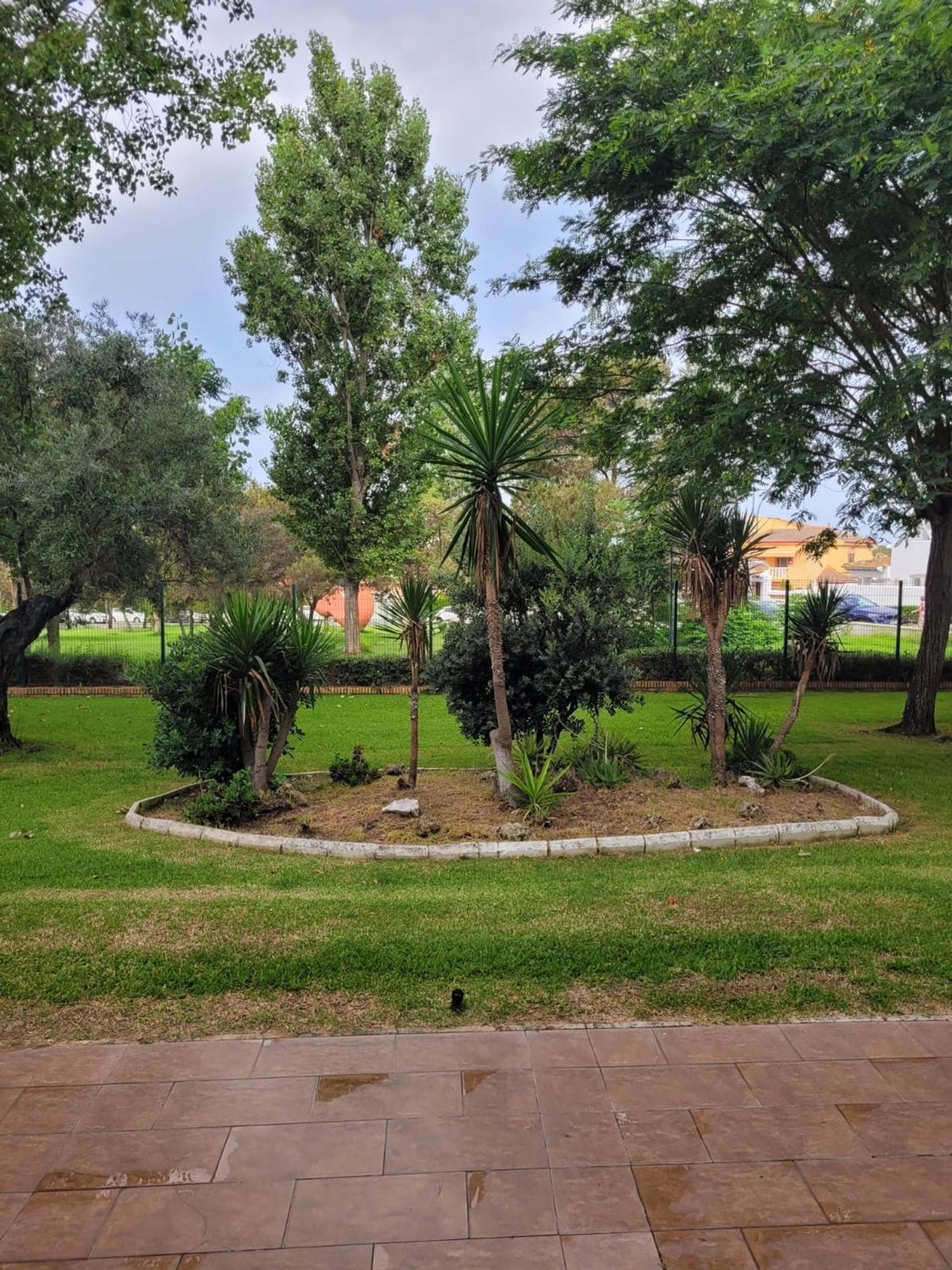 Estudio en Sector L, 68, Zona Golf - Torre Almenara - Foto 7