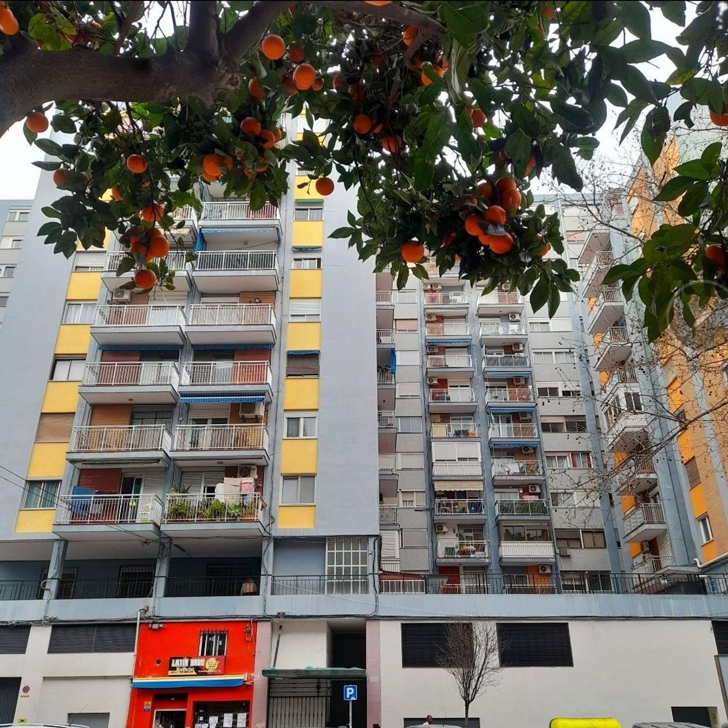 Piso en Calle de les Illes Canàries, 112, La Creu del Grau - Foto 13