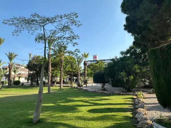 Ático en Calle Ruidera, 3, Los Balcones - Los Altos del Edén - Foto 29