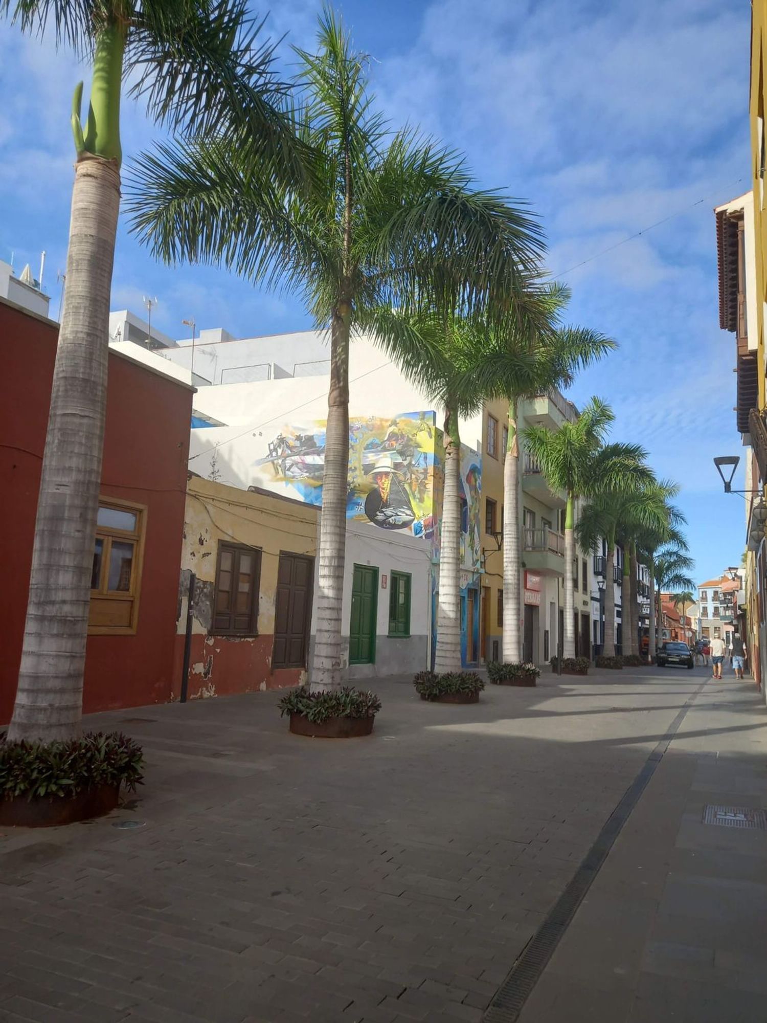 Estudio en Calle Quintana, 1, Distrito Martiánez, Distrito Martiánez - Foto 17
