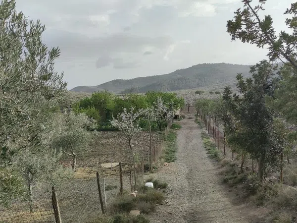 Cortijo en Cortijo en A-1178 s/n - Foto 29