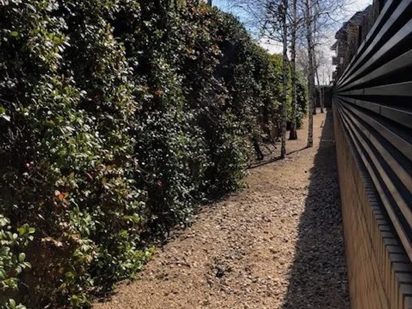 Piso en calle del Doctor Mariano Alcaraz, 5 - Foto 22