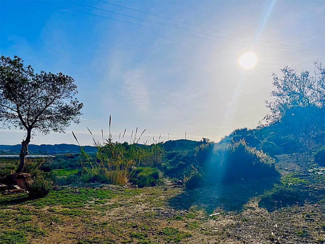 Finca rústica en  Camino Viejo de Saladas 10 - Foto 13