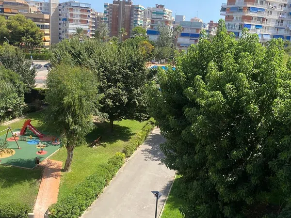 Piso en Avenida de les Nacions, 11, Playa de San Juan - Foto 19