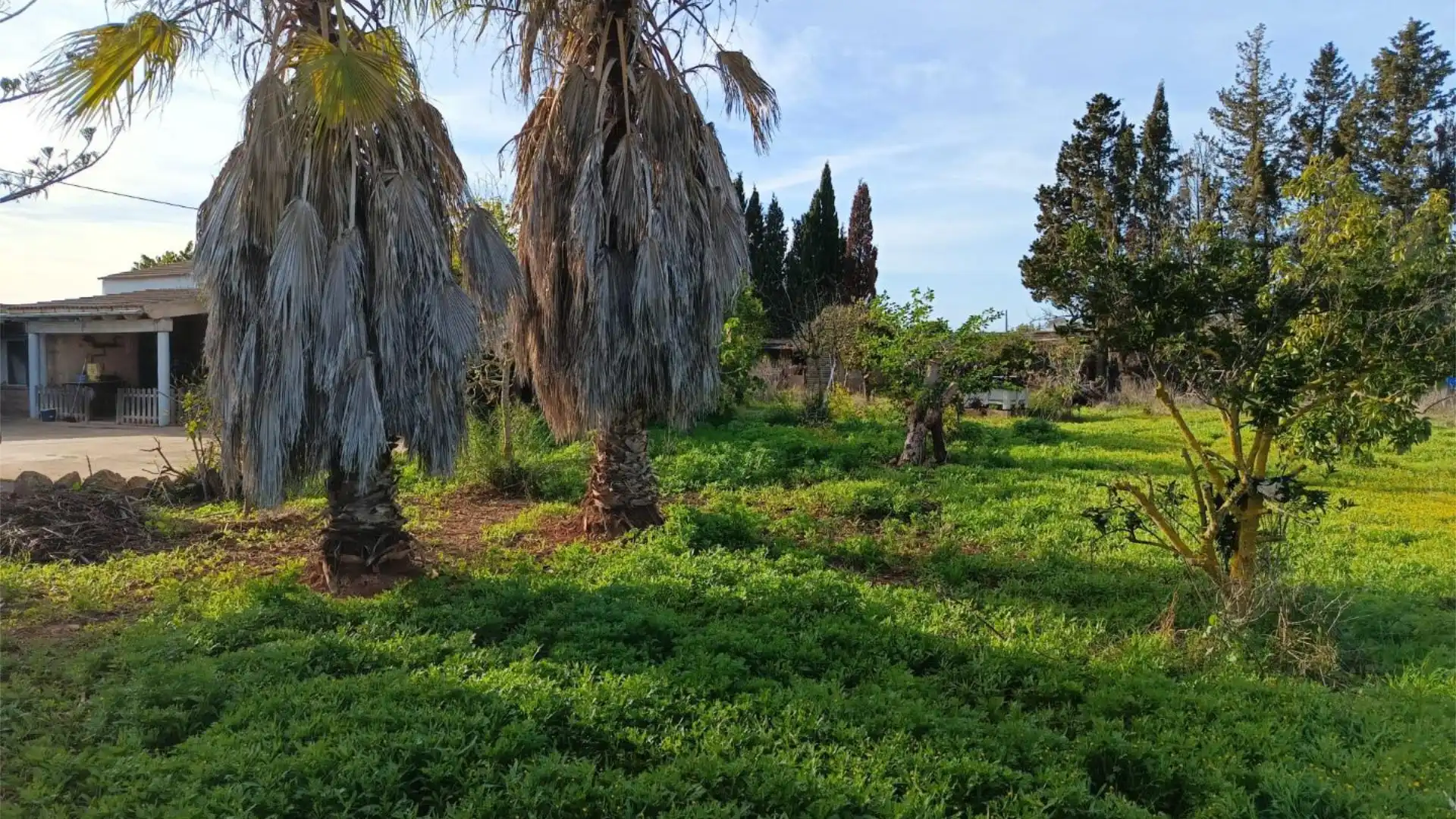 Finca rústica en  Camí Vell de Cala Pi 41 - Foto 10