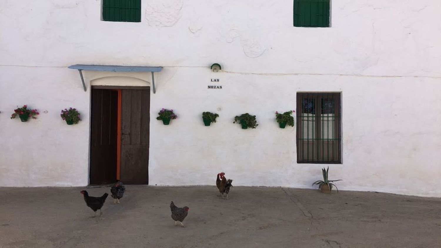 Cortijo en Cortijo en Paraje Santa Cruz, 98 - Foto 4