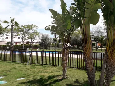 Piso en  Avenida de la Alcanara 1 - Foto 2