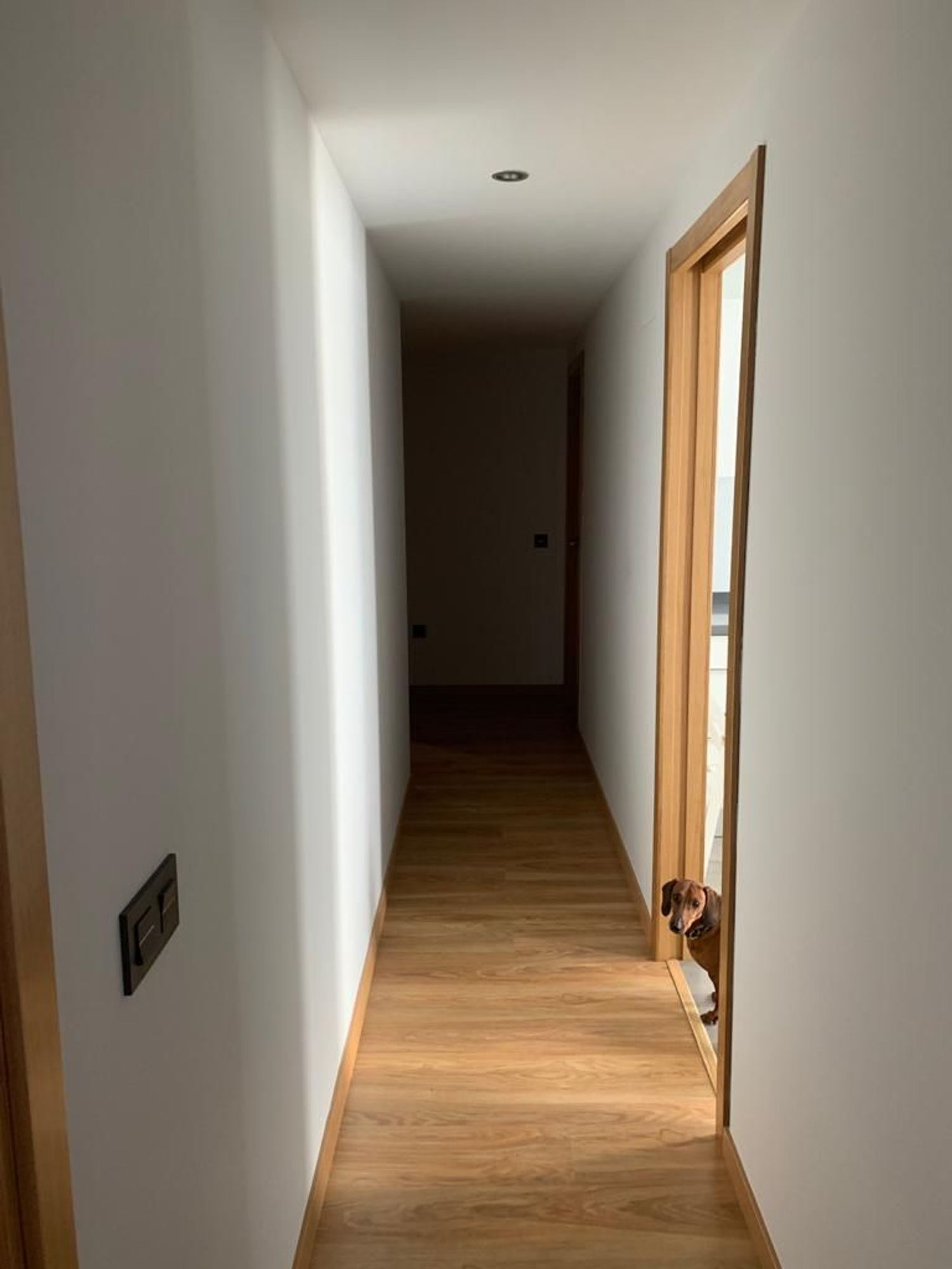 Piso en avenida Jorge Luis Borges, 10 - Foto 3